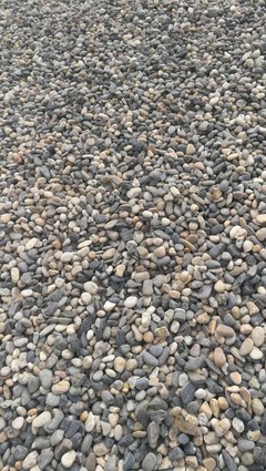 廣東汕尾水洗石 鵝卵石一噸多少錢/價(jià)格優(yōu)