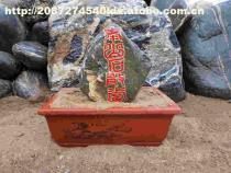 【泰山石敢當(dāng)】盆裝,價(jià)格,廠家,圖片,供應(yīng)商,其他石材石料,泰安市泰山區(qū)五尊石材銷售中心 - 產(chǎn)品庫 - 阿土伯交易網(wǎng)